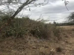 20 Acre Touching Kathome Tarmac Road Machakos