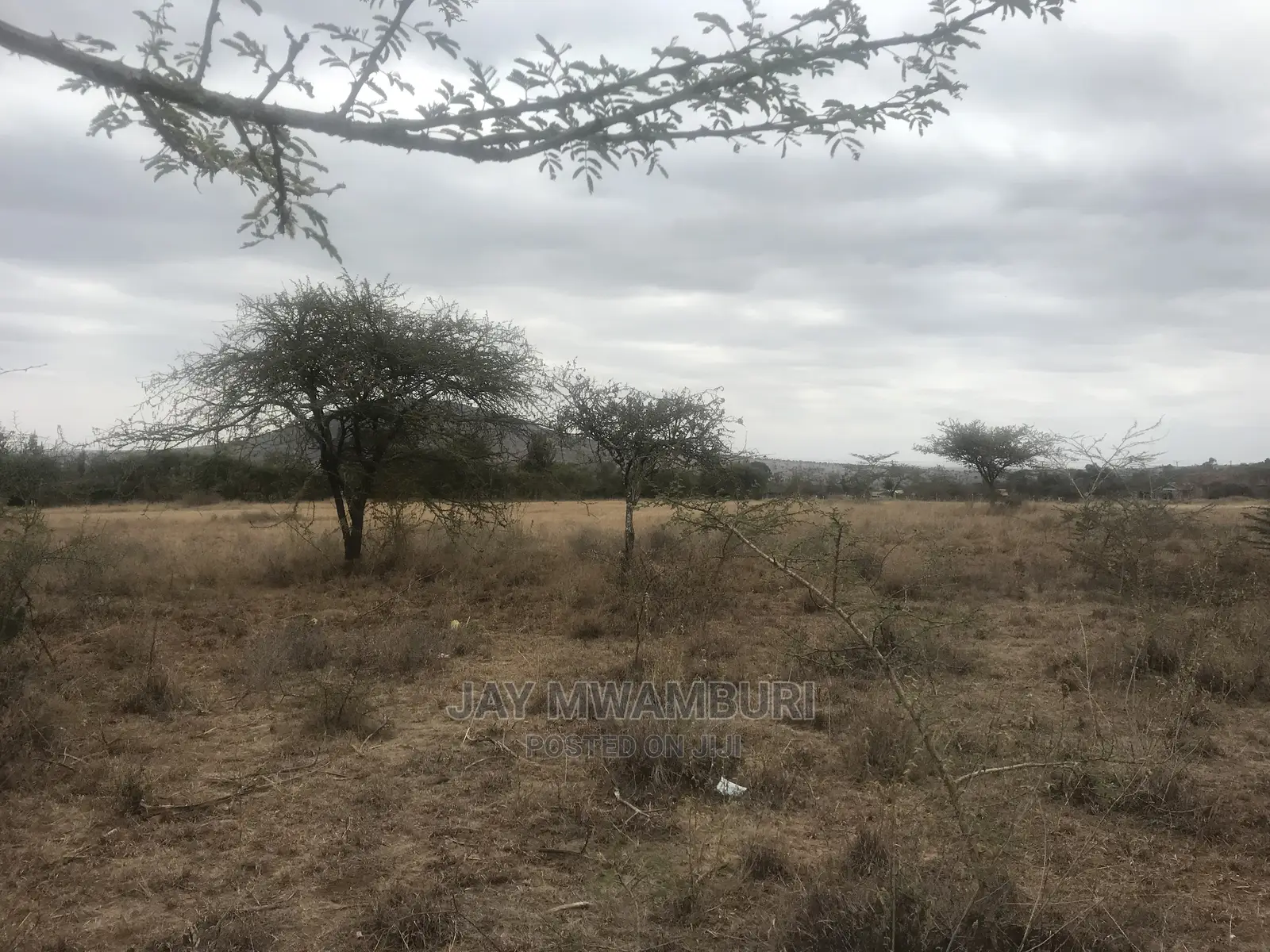 20 Acre Touching Kathome Tarmac Road Machakos
