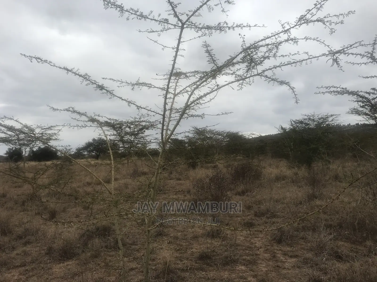 20 Acre Touching Kathome Tarmac Road Machakos