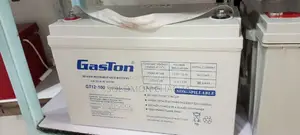 Gaston 100ah/10hr Back Up Battery
