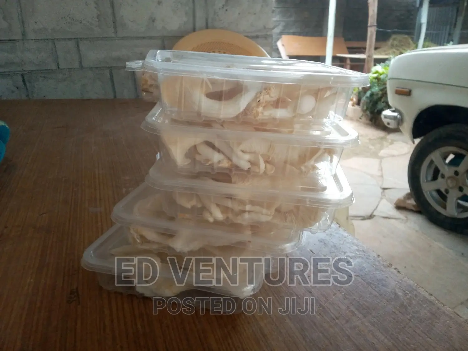 Oyster Mushrooms