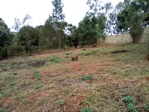 2-Acres of Land for Sale in Wangige