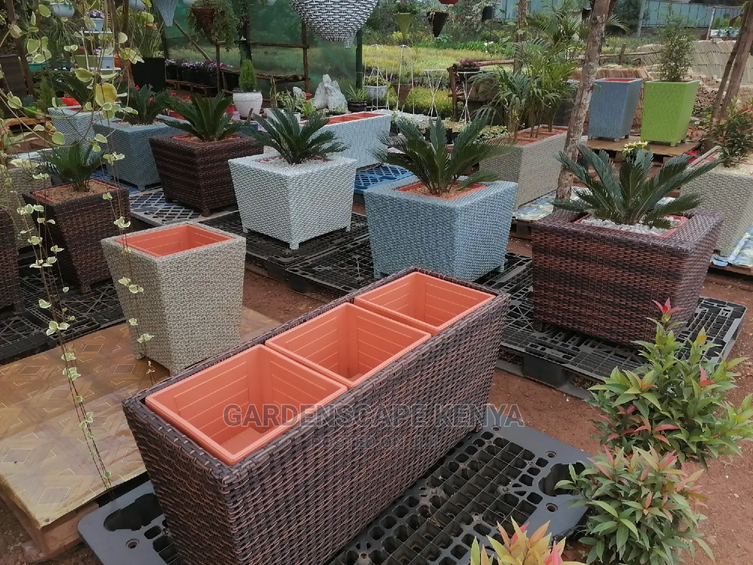Rattan Planters