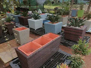 Rattan Planters