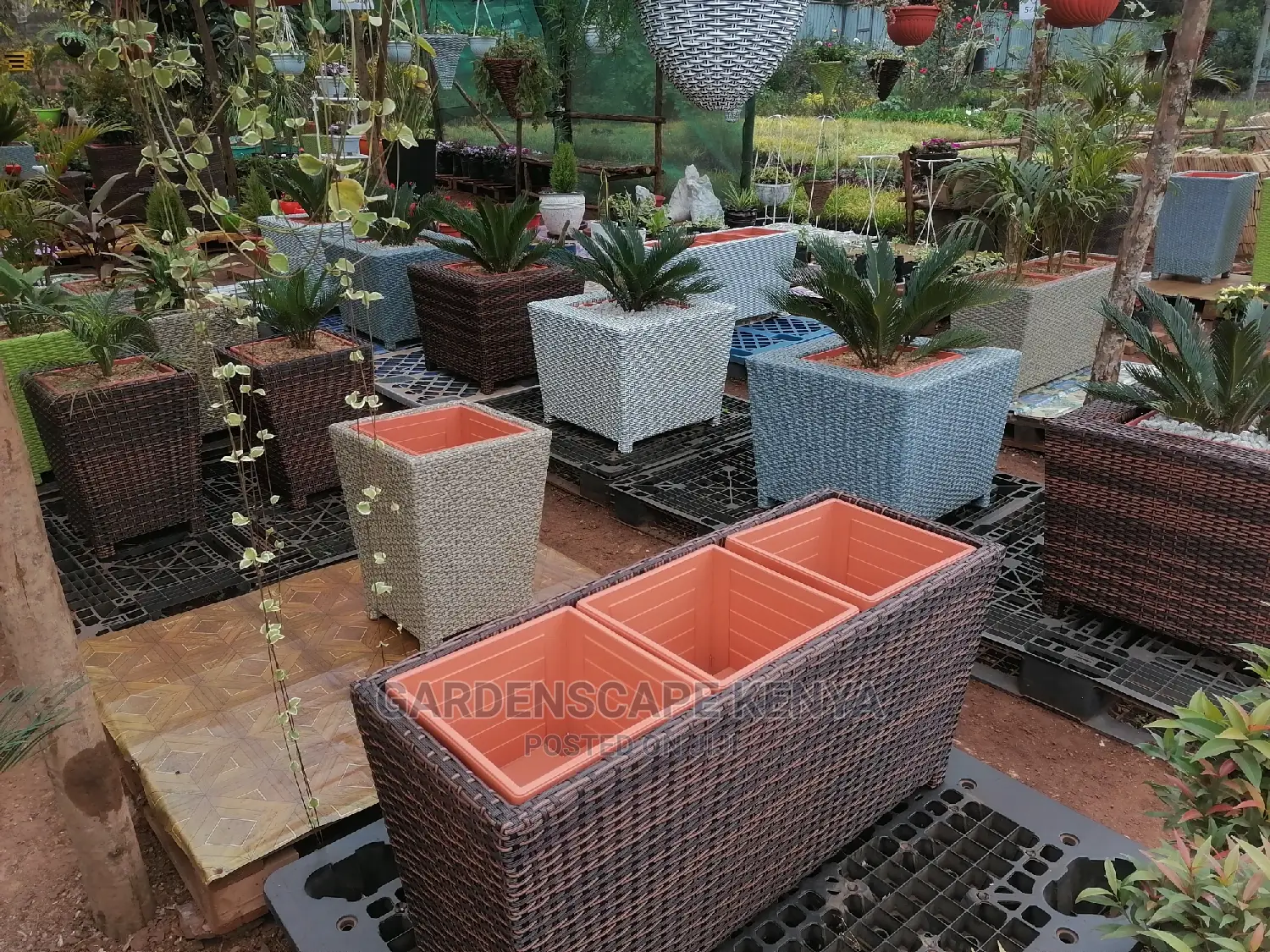 Rattan Planters