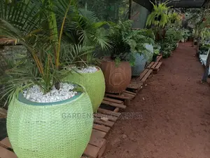 Rattan Planters
