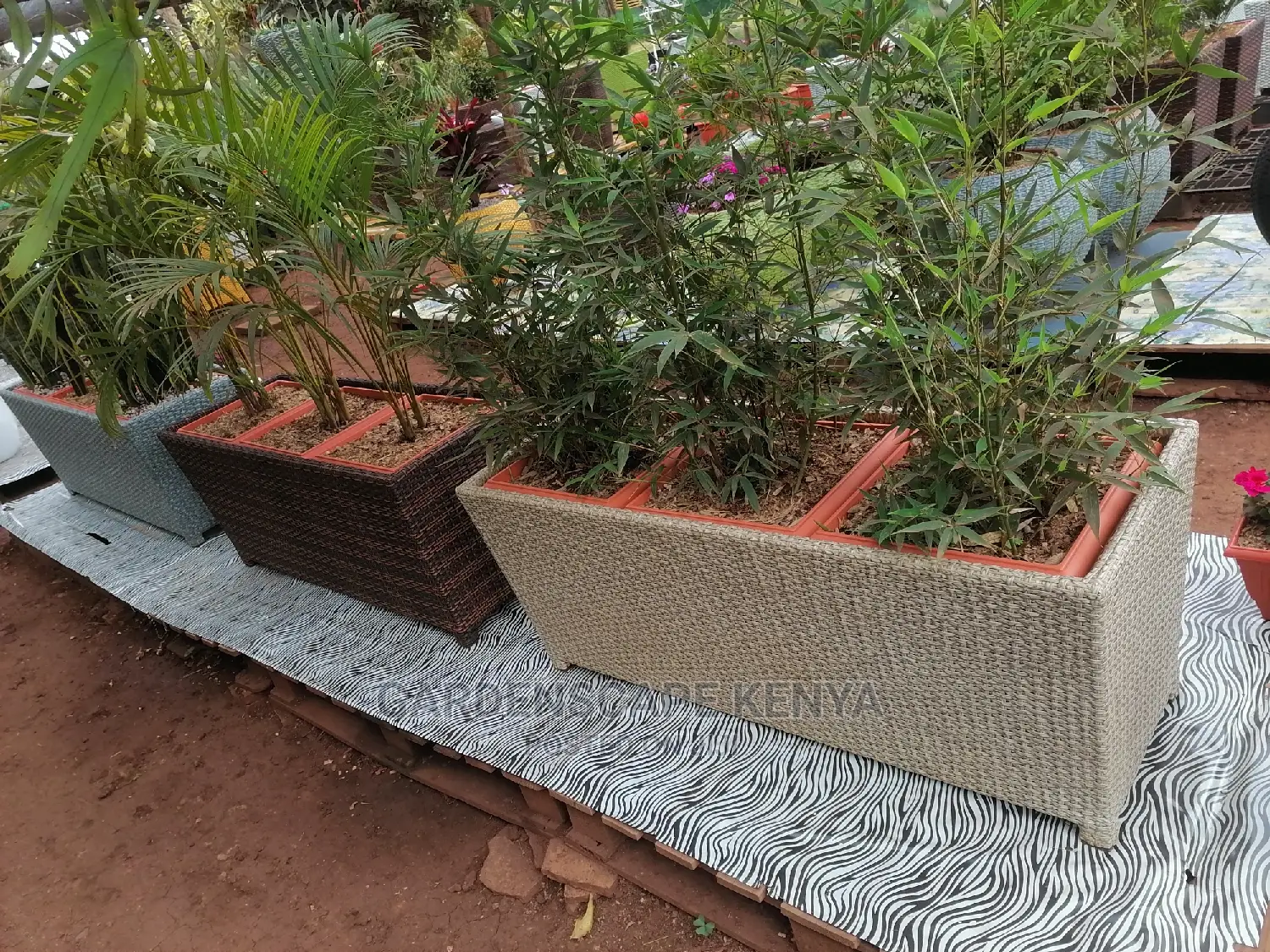 Rattan Planters