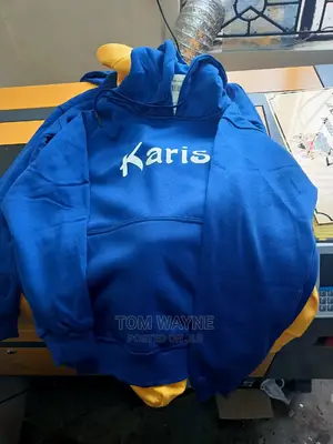 Blue Hoodies or Jumper