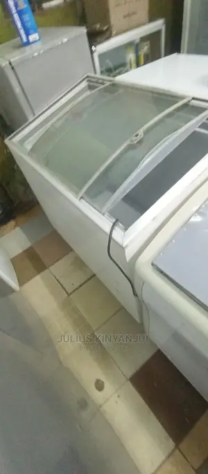 Deep Freezer 300L