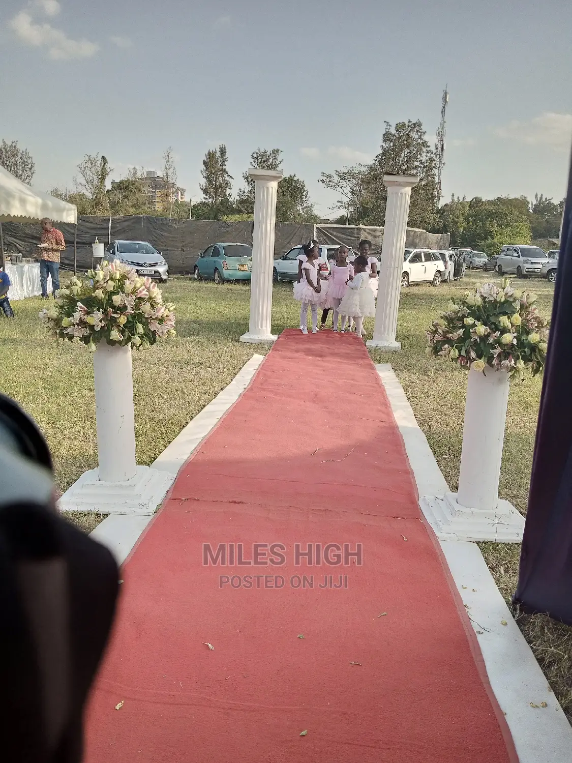 Wedding Video Coverage+ Drone