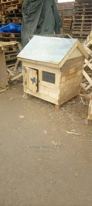 Dog Kennel and Puppies