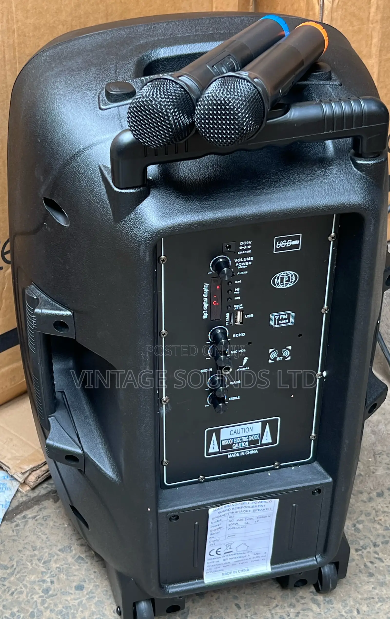 Aone 12inch Rechargeable Amplified Speaker With 2microphones