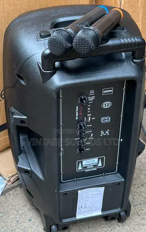 Aone 12inch Rechargeable Amplified Speaker With 2microphones