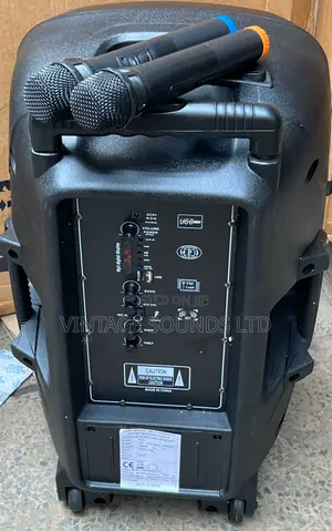 12inch Rechargeable Amplified Speaker