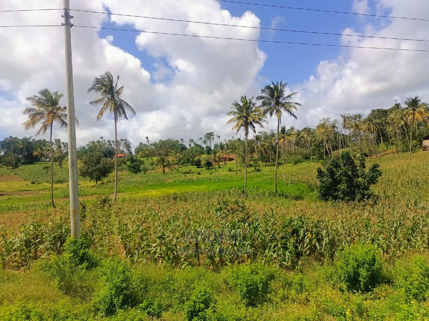 Land for Sale in Mazeras, Rabai