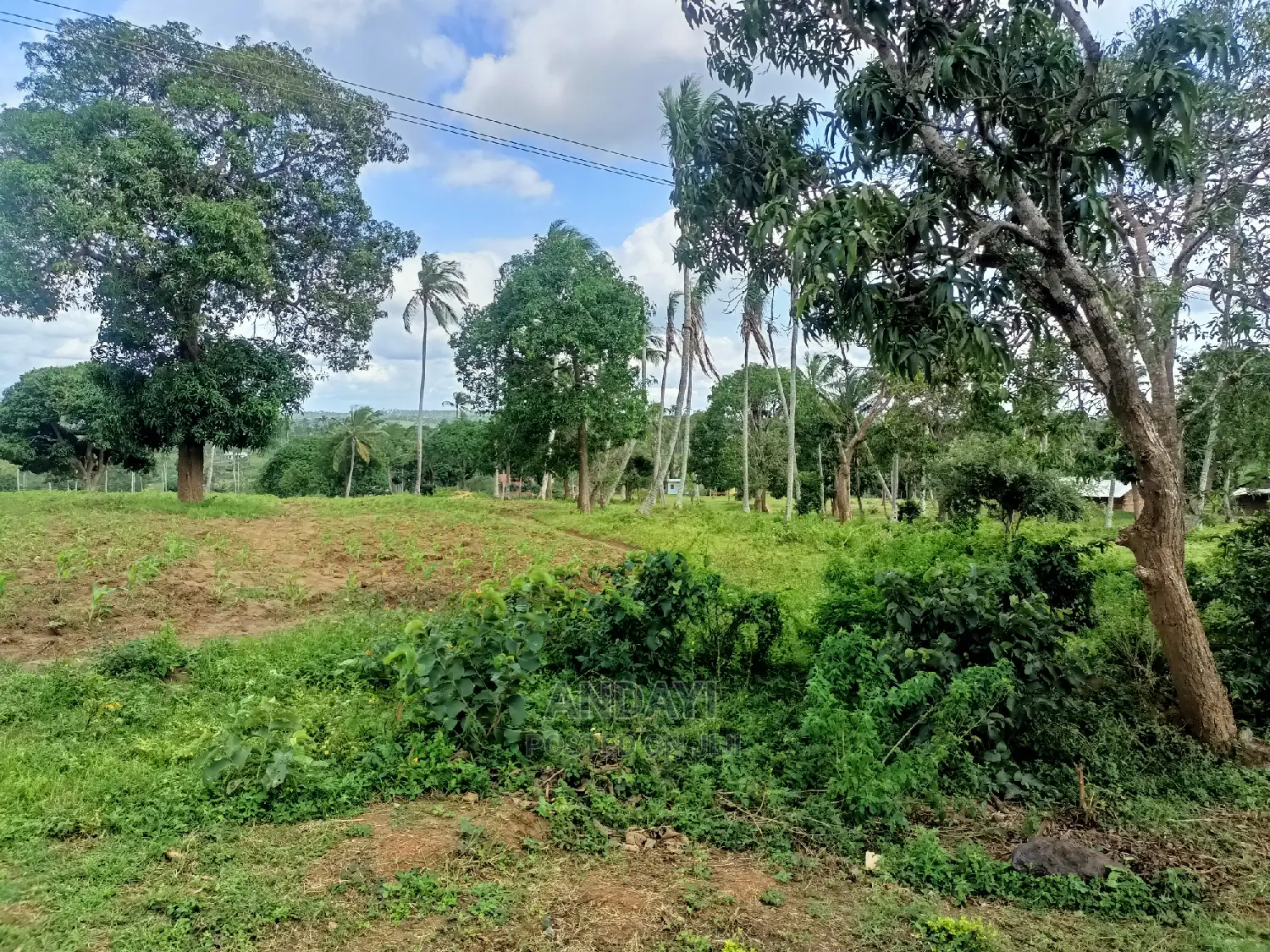 Land for Sale in Mazeras, Rabai