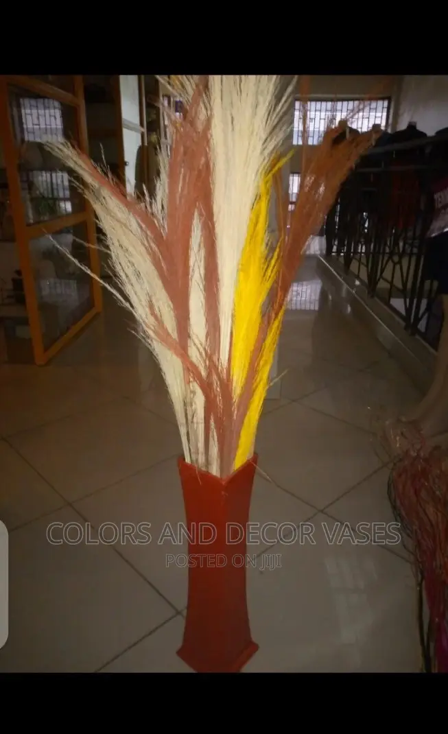 Pampas Grass