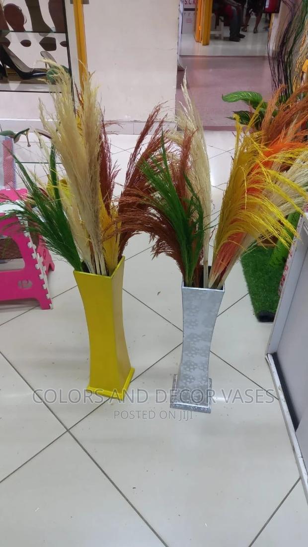 Pampas Grass - thumbnail 12