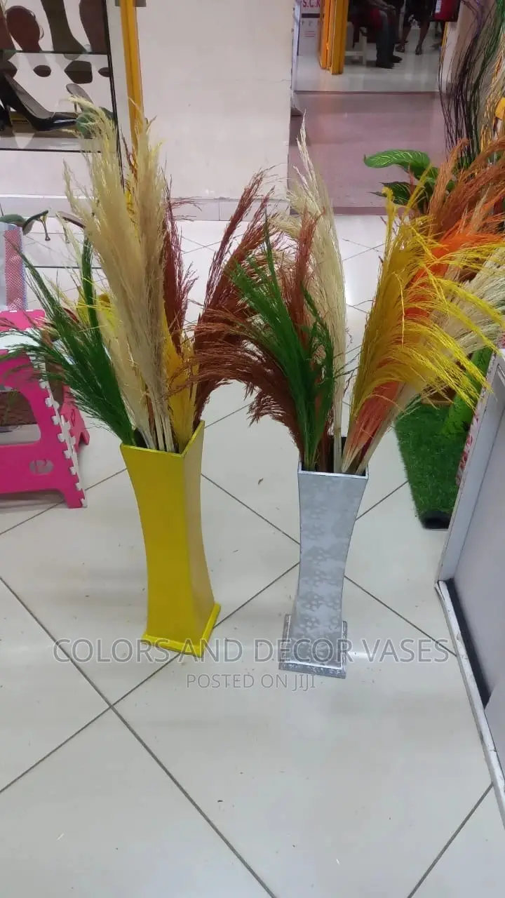 Pampas Grass