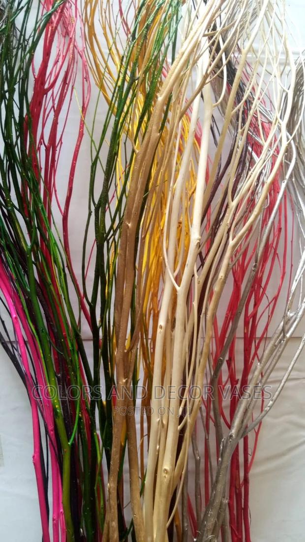 Pampas Grass - thumbnail 6