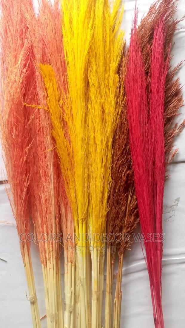 Pampas Grass - thumbnail 7