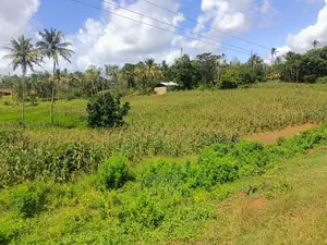Land for Sale in Mazeras, Rabai