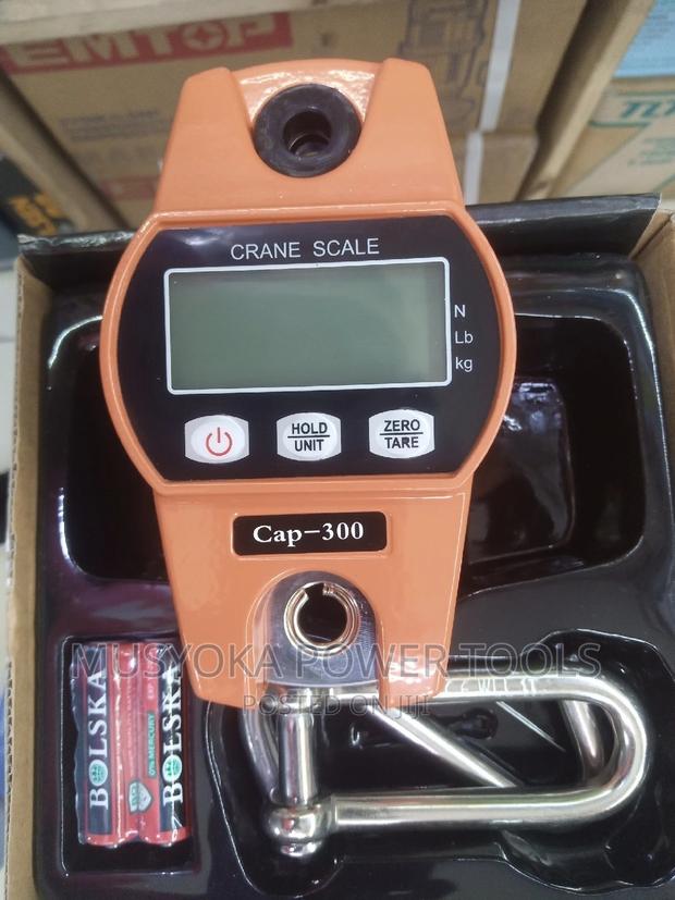 300kg,Hanging Crane Scale