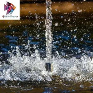 Cat Fish Rain Drop System for Breeding