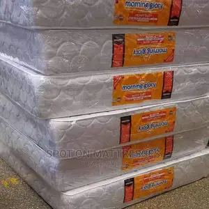 5by6 10inch High Density Mattresses