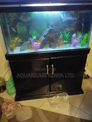 Aquarium Fish Tank,A Cabinet, Aquarium Filtration Complete