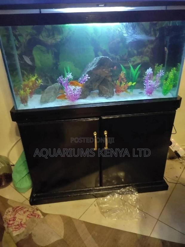 Aquarium Fish Tank,A Cabinet, Aquarium Filtration Complete