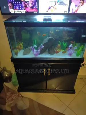 30inch Fish Aquarium Complete Set