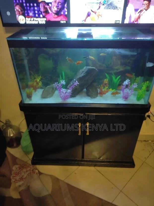 30inch Fish Aquarium Complete Set