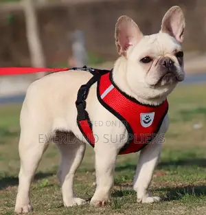 Dog Vest Leash and Harness