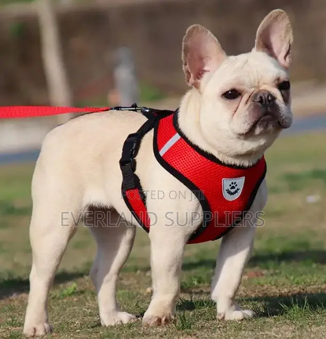 Dog Vest Leash and Harness