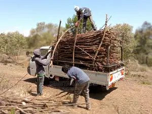 Pick Up and Lorry Transport