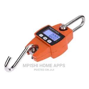 Electronic Hanging Scale 300kg