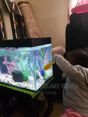 Kids Aquarium Gift