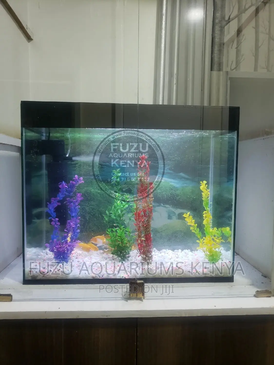 Birthday Gift Aquarium