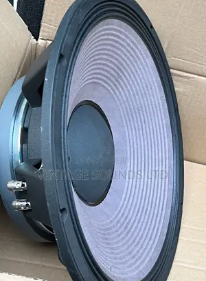 Jbl15inch 2226H Naked Speaker