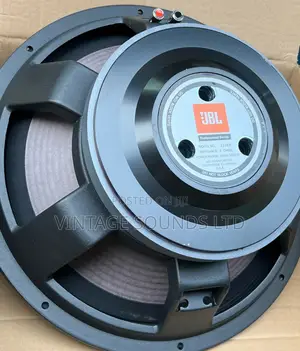Jbl 2226H 15inch Lowmid Naked Speaker