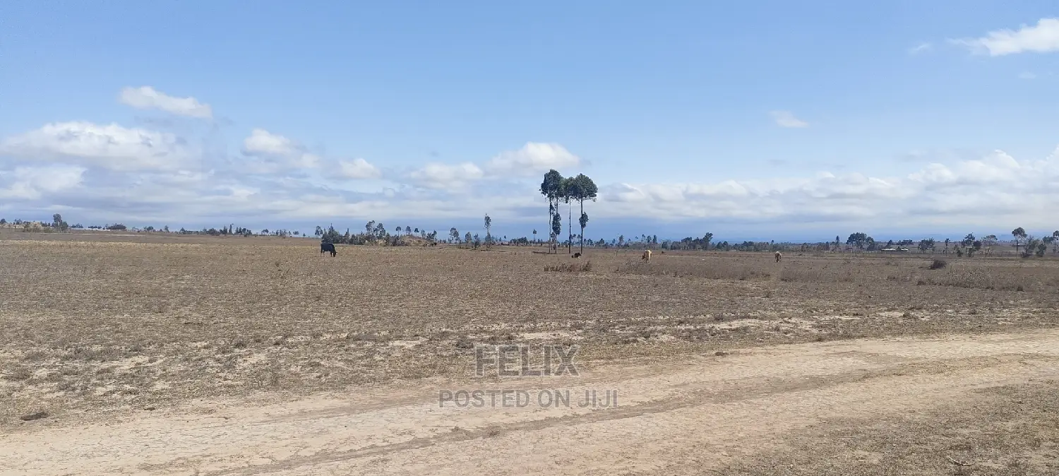 7 Acres Narumoru