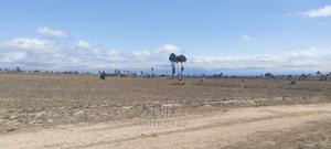 7 Acres Narumoru - thumbnail 2