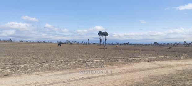 7 Acres Narumoru - main view