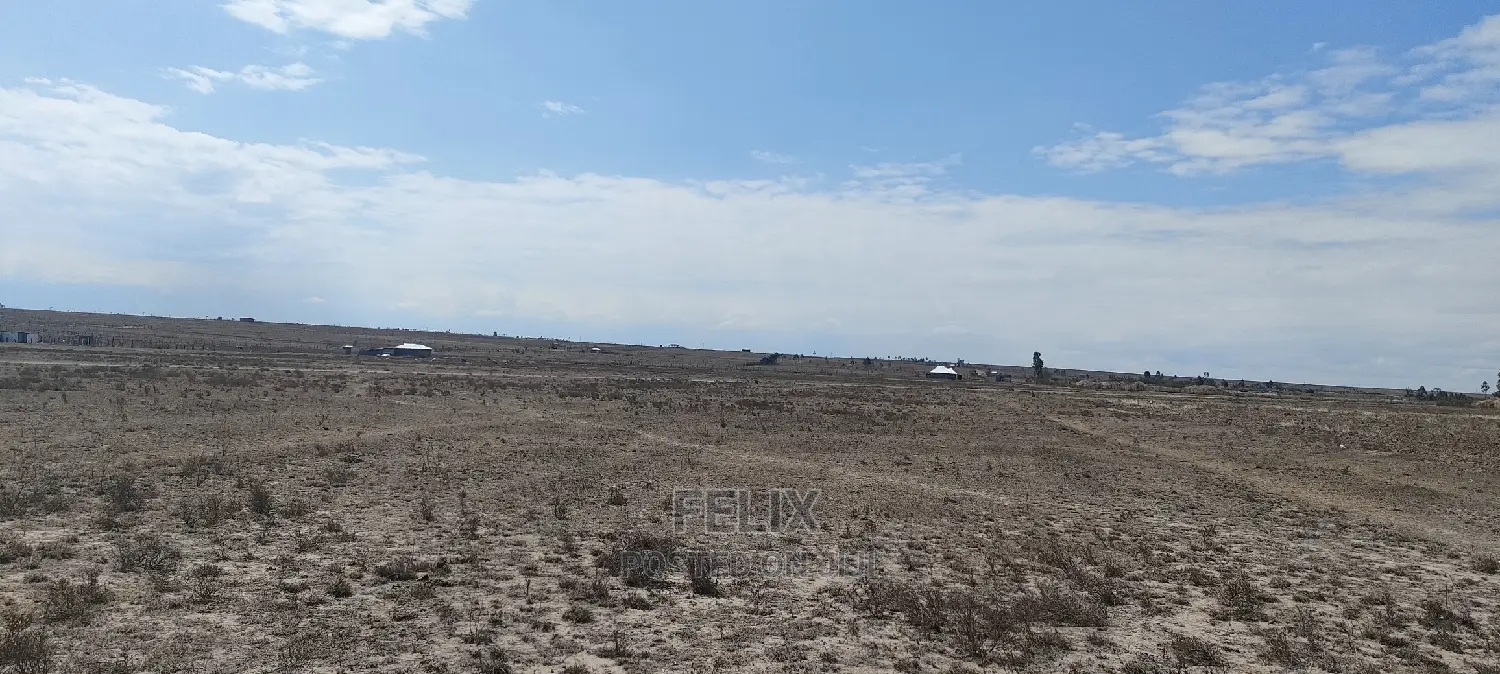 7 Acres Narumoru