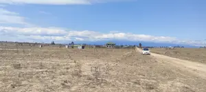 7 Acres Narumoru