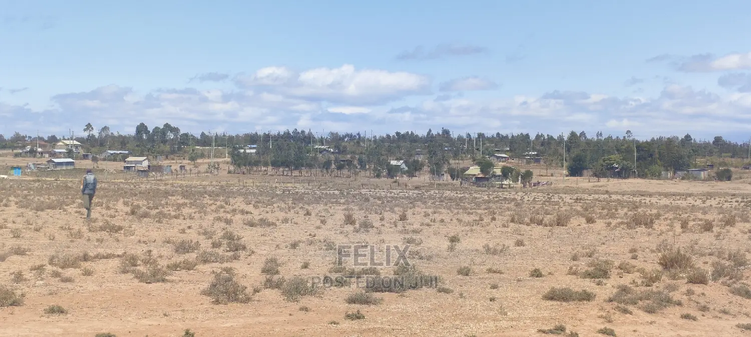 7 Acres Narumoru