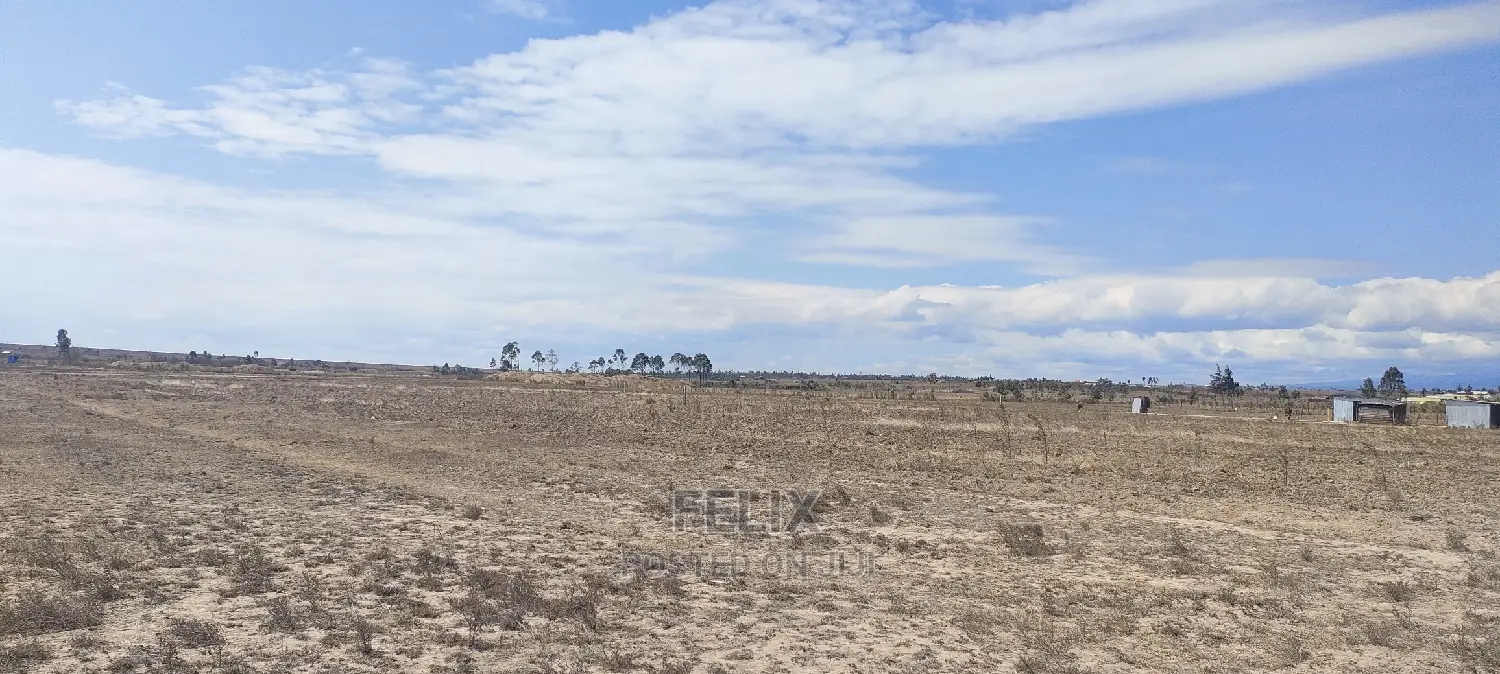 7 Acres Narumoru