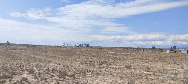 7 Acres Narumoru - thumbnail 5