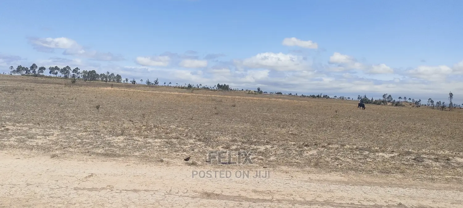 7 Acres Narumoru